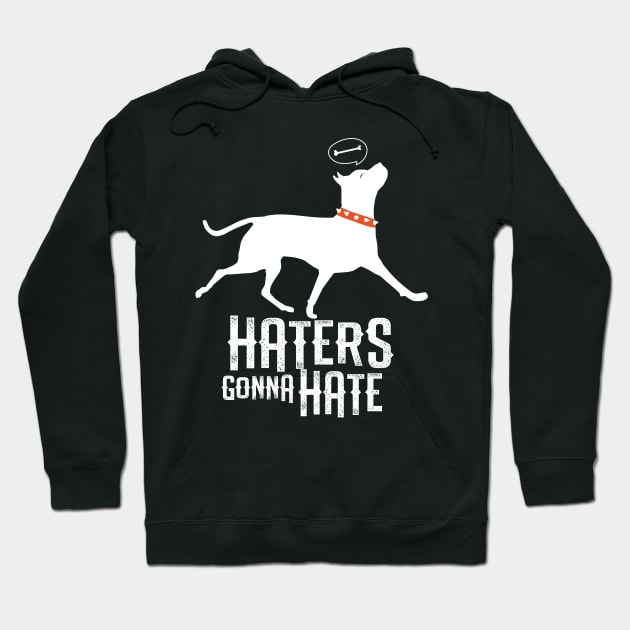 Haters Gonna Hate Hoodie by Eugenex